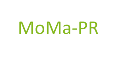 Grüner Schriftzug des Projektnamens MoMa-PR