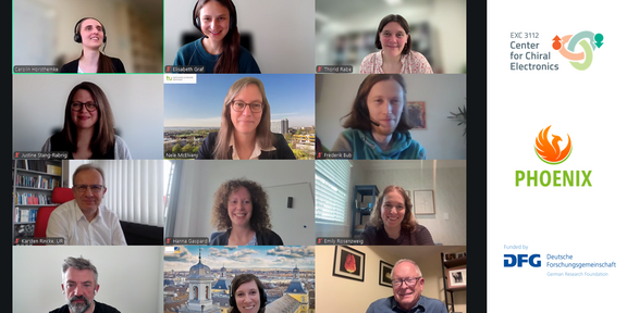 Die Mitglieder des Wissenschaftliche Beirats des PHOENIX Projekts sind frontal auf Bildkacheln eines Online-Meetings zu erkennen.