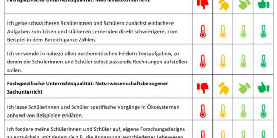 TIMSS Beispielhafte Erhebungsfragen des Projekts TIMSS