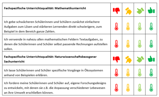 TIMSS Beispielhafte Erhebungsfragen des Projekts TIMSS