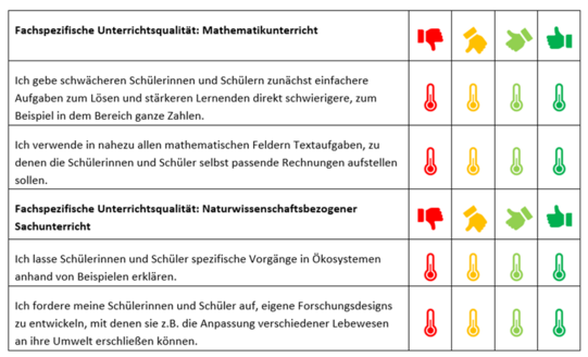 Beispielhafte Erhebungsfragen des Projekts TIMSS