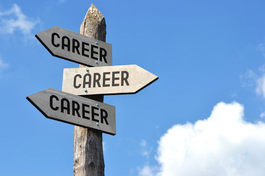 Pfeile mit Aufschrift Career, die in unterschiedliche Richtungen zeigen