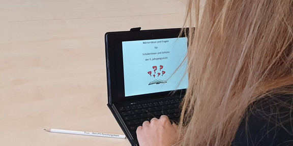 2020-02-26_Start_ST2-Erhebung Eine Frau sitzt vor ihrem Tablet und startet die ST2 Erhebung