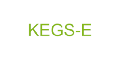 Grüner Schriftzug des Projektnamens KEGS-E